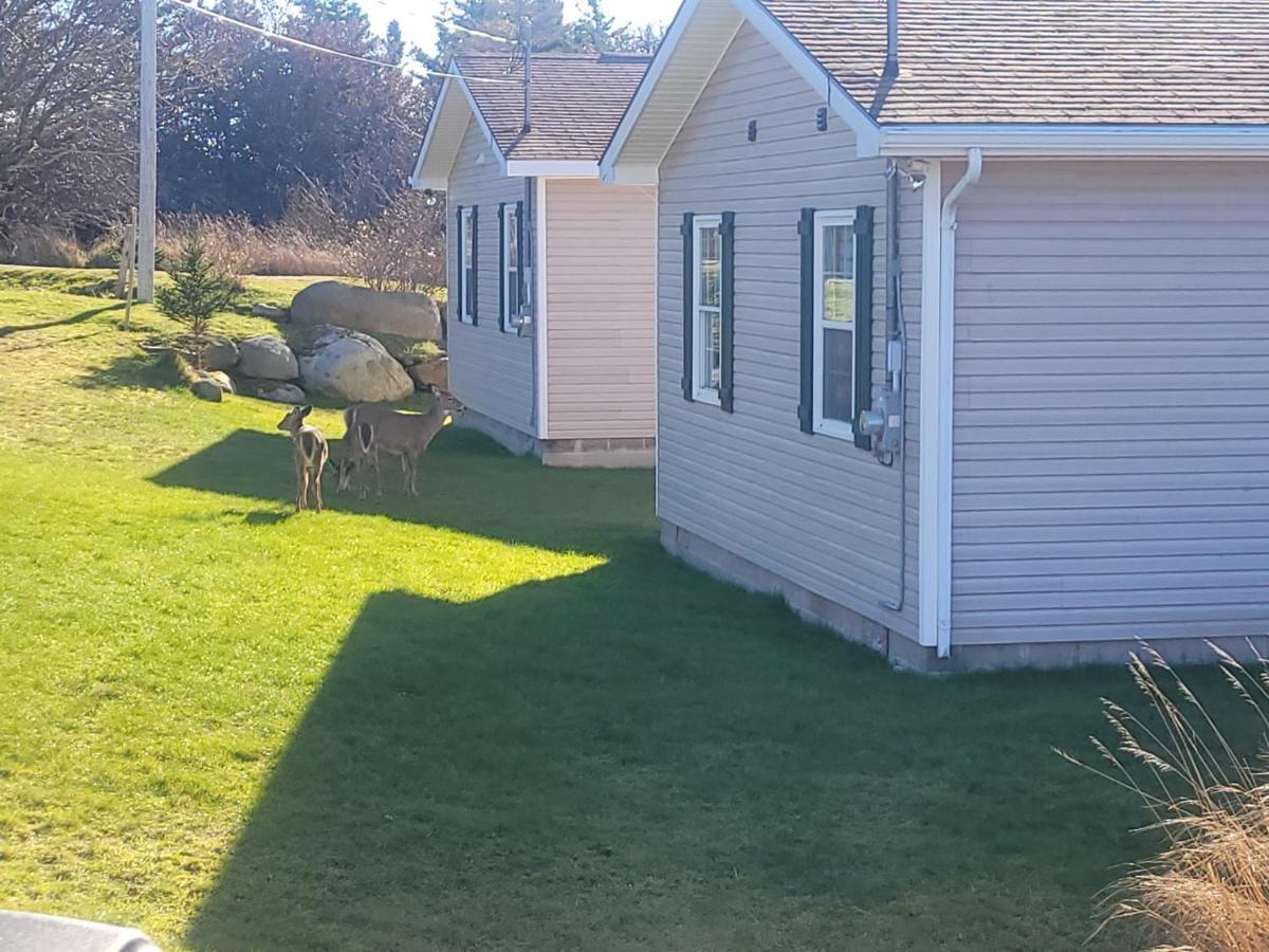 Whispering Waves Cottages Shelburne Exterior photo